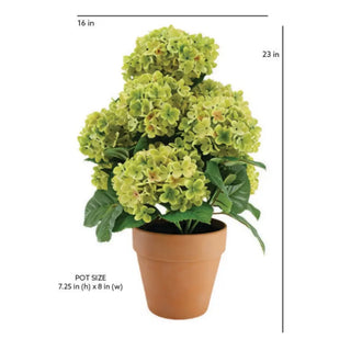 Hydrangea Display in traditional planter 