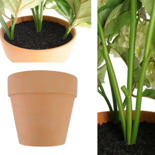 close up images of hydrangea plant in traditional pot with fake soil 