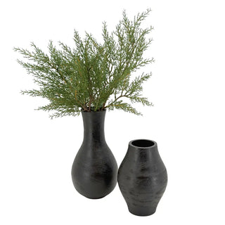 Hearthside Evergreen