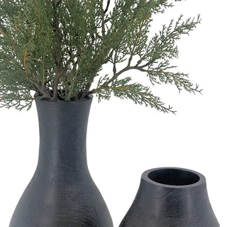 Hearthside Evergreen