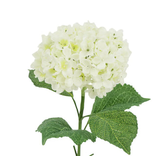 Ivory Garden Arrangement