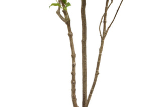 7' Faux Laurel Tree Stem on White Background