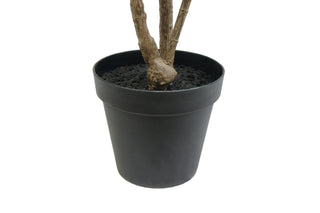 7' Faux Laurel Tree with Stable Drop In Pot on White Background