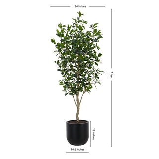 Dimensions of CG Hunter 7' Faux Potted Laurel Tree illustrating its height of 7 feet and base measurements, perfect for upscale decor and interior design.