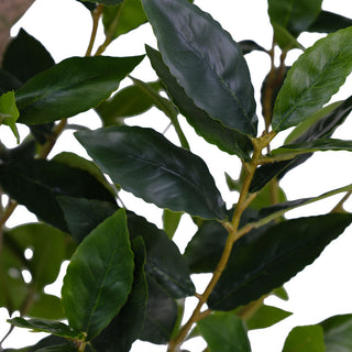 Close-up of CG Hunter 7' Faux Potted Laurel Tree leaves, highlighting the realistic textures and lush greenery ideal for elegant interiors.