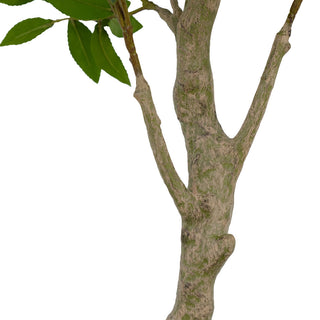 Detailed view of the trunk of the CG Hunter 7' Faux Potted Laurel Tree, showcasing its natural appearance and elegant design for luxury living.