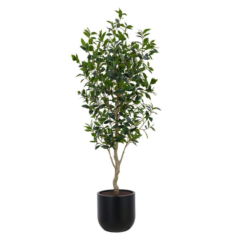 7 ft Faux Potted Laurel Tree