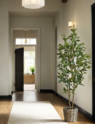 Lemon Citrus Tree in Farmhouse Hallway in a CG Hunter French Rattan Planter