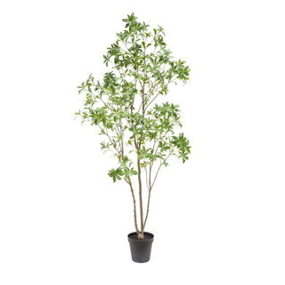 7' Faux Laurel Tree on White Background