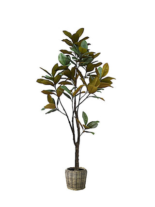7' Artificial Magnolia Tree by CG Hunter in a woven basket pot, adding a touch of natural charm and sophistication to any living space.