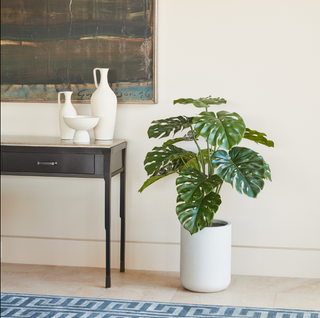 CG Hunter 4' Monstera Plant in Modern Gray Planter elegantly placed next to contemporary decor, enhancing the sophistication of the room with its lifelike greenery.