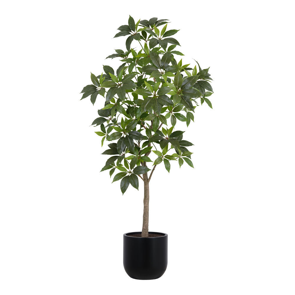 money tree fake Faux Potted Money Tree, 7 ft