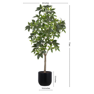 Dimensions of the 7' Faux Potted Money Tree by CG Hunter, featuring a sleek black pot and lush leaves, perfect for enhancing home decor.