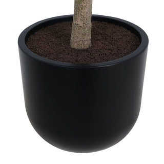 Detail of the sleek black pot of the 7' Faux Potted Money Tree by CG Hunter, designed to seamlessly integrate elegance into any space.