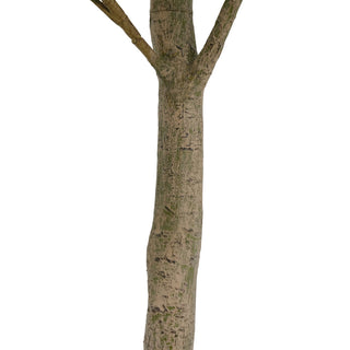 Elegant close-up of the trunk of the 7' Faux Potted Money Tree by CG Hunter, showcasing its realistic texture and sophisticated design.
