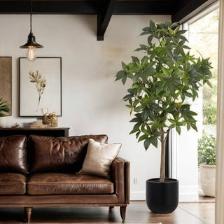 Stylish 7' Faux Potted Money Tree by CG Hunter in a modern living room setting, enhancing the aesthetic with its lifelike foliage and sleek design.