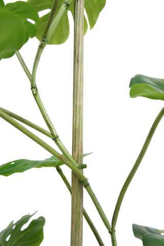 Detailed view of the trunk of the 5' Artificial Monstera Tree by CG Hunter, highlighting the hand-painted branches for an exquisite faux tree experience.