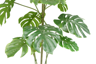 Lifelike leaves of the 5' Artificial Monstera Tree by CG Hunter, showcasing elegant foliage and realistic design for modern home decor.