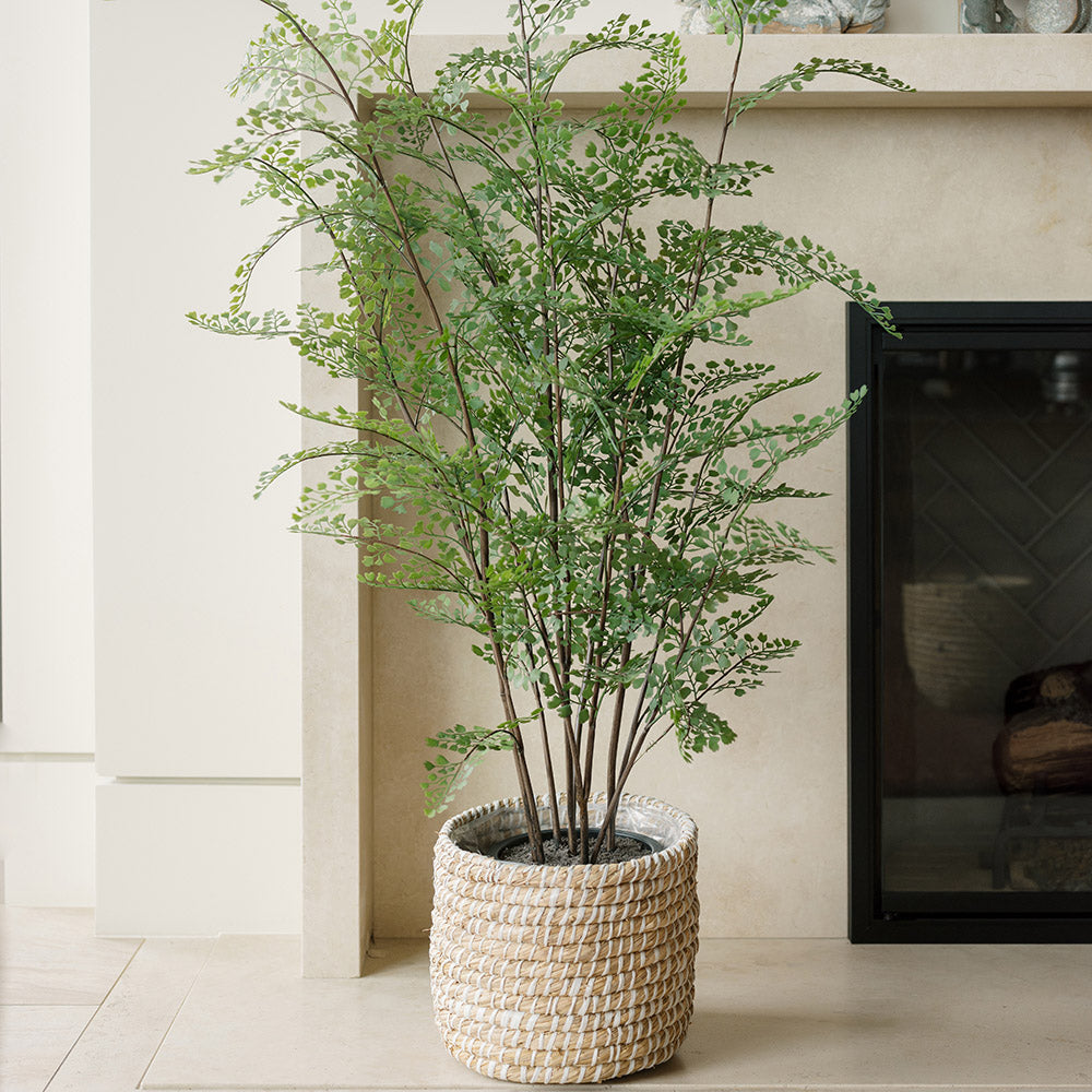 Faux Maidenhair Fern