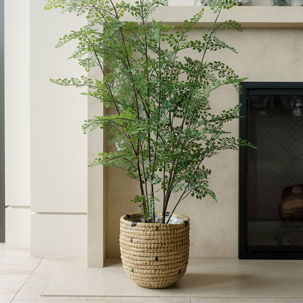 Faux Maidenhair Fern