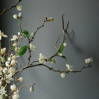 Meadow Branch Arrangement