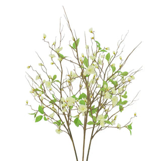 Meadow Branch Arrangement