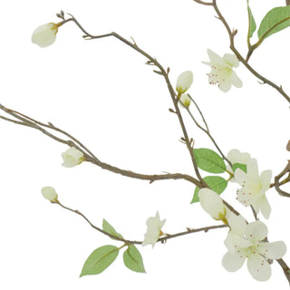 Meadow Branch Arrangement