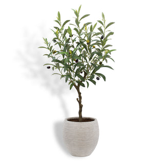 Lifelike artificial Olive Topiary Tree by CG Hunter, 34" tall, with silvery green leaves and olives, in a textured Mediterranean pot, perfect for adding elegance to any space.