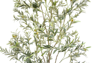 Detailed view of the lush, lifelike leaves of the 7' Artificial Wispy Olive Tree by CG Hunter, ideal for maintenance-free greenery in any space.