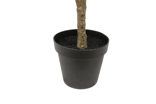 Base of the 7' Artificial Wispy Olive Tree by CG Hunter featuring a simple black pot, designed for stability and elegance.