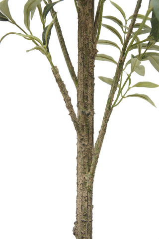 Detailed view of the trunk of CG Hunter’s 7' Slim Olive Tree, highlighting its realistic texture and natural appearance.