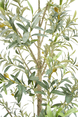 Close-up view of the hand-painted branches and lifelike leaves of CG Hunter's 7' Slim Olive Tree, showcasing its elegant design and realistic texture.