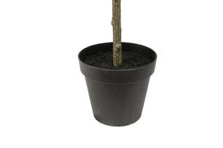 Base of CG Hunter's 7' Artificial Slim Olive Tree, displayed in a simple black pot, perfect for seamless decor integration.