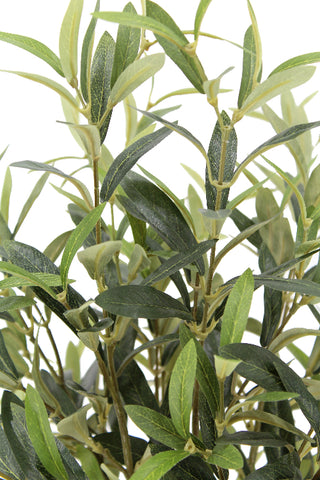 Detailed close-up of the lush green leaves of the 30" Faux Olive Arrangement by CG Hunter, capturing the natural beauty and realism of this decorative piece.