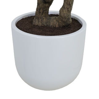 Chic white pot of the CG Hunter 7.5' Faux Potted Olive Tree, designed for an elegant look while maintaining a modern aesthetic.