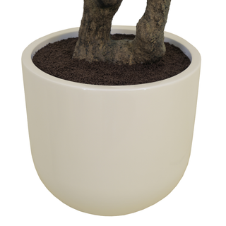 A glossy cream-colored ceramic planter pot containing dark brown soil and a textured tree trunk, shown against a solid white background.