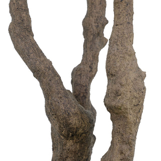 Detailed texture of the trunk of the CG Hunter 7.5' Faux Potted Olive Tree, showcasing realistic craftsmanship in artificial decor.