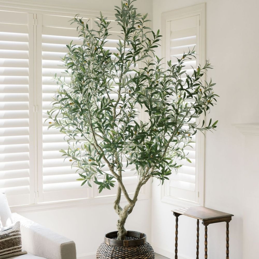 8-ft Designer Faux Olive Tree - CG Hunter Grower Series