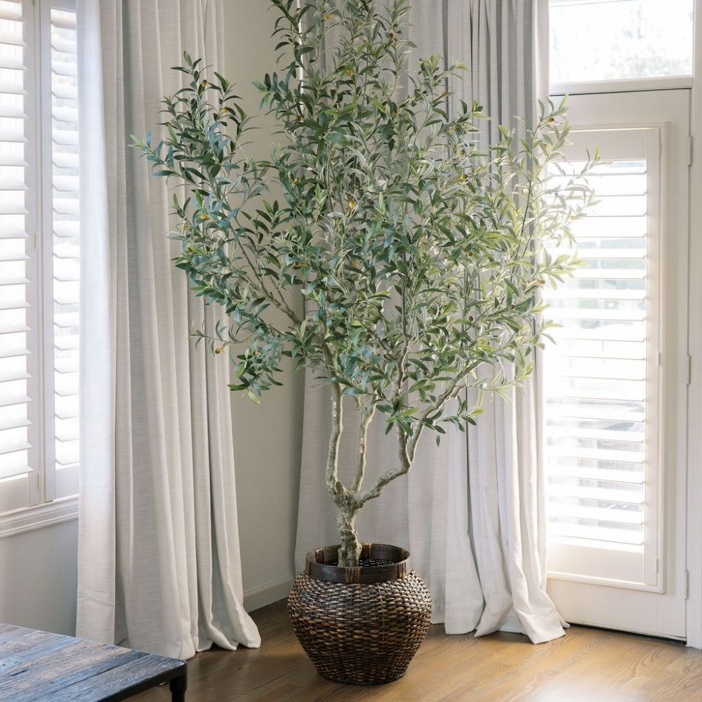 8-ft Designer Faux Olive Tree - CG Hunter Grower Series
