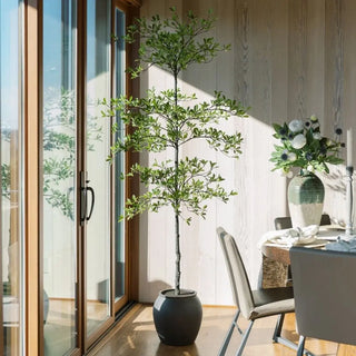 Modern interior with a potted plant and dining table setup.