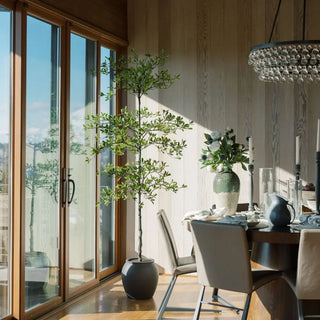 Modern dining room with large windows, plants, and a chandelier.