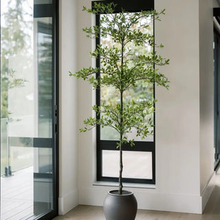 Potted plant in a modern interior setting with large windows
