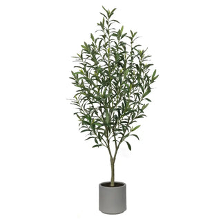 Potted plant with green leaves on a white background