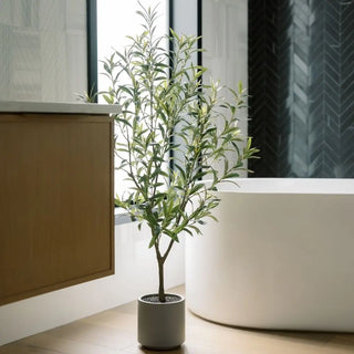 Potted plant in a modern interior setting with a bathtub and wooden cabinet.