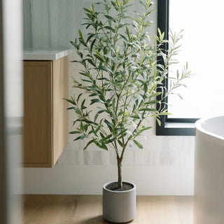Potted plant in a modern interior setting with a window and cabinet.