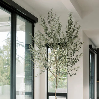 Artificial olive tree in a modern interior setting with large windows.
