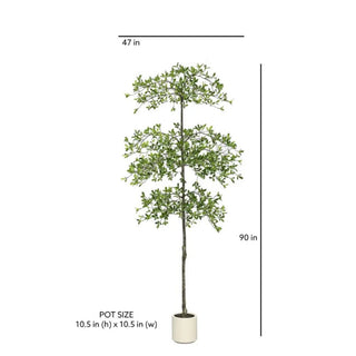 Faux shady lady tree size guide showing height and pot size