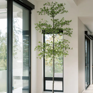 Decorative indoor plant in a modern interior setting with large windows.
