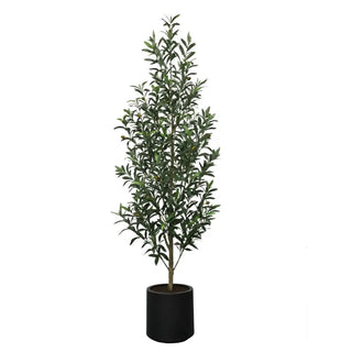 Potted plant with green leaves on a white background