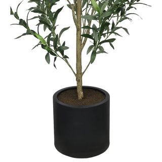 6' Olive Topiary Tree in Black Pot